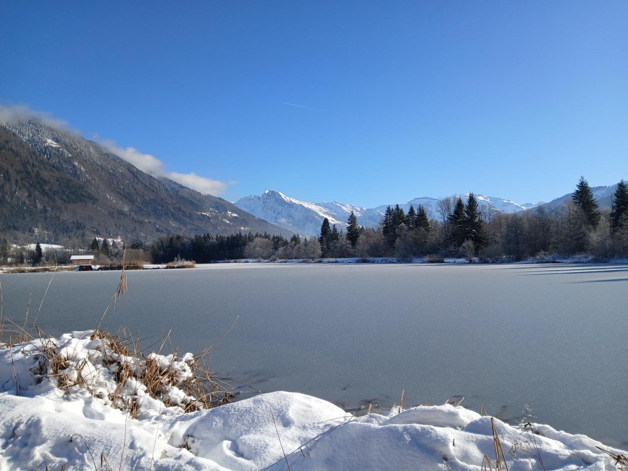 Chalet Les Vagnys - Lac Des Vernays La Riviere-Enverse Exterior photo